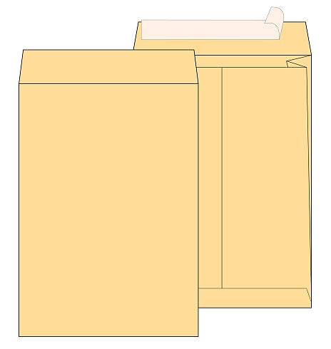 Почтовый пакет с боковым расширением LARGEPACK В4 (250x353 мм), стрип крафт